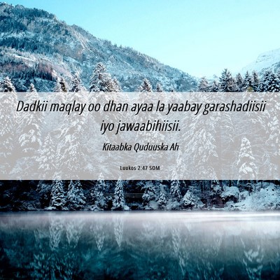 Picture 06 - Luukos 2:47 SOM - Dadkii maqlay oo dhan ayaa la yaabay - Bible Verse Picture