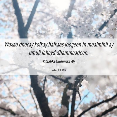 Picture 06 - Luukos 2:6 SOM - Waxaa dhacay kolkay halkaas joogeen in maalmihii - Bible Verse Picture
