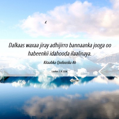 Picture 06 - Luukos 2:8 SOM - Dalkaas waxaa jiray adhijirro bannaanka jooga oo - Bible Verse Picture