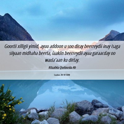 Picture 06 - Luukos 20:10 SOM - Goortii xilligii yimid, ayuu addoon u soo diray - Bible Verse Picture