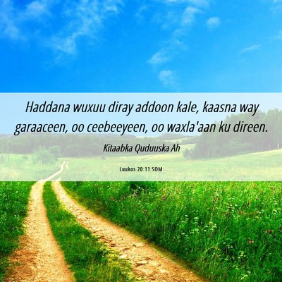 Picture 06 - Luukos 20:11 SOM - Haddana wuxuu diray addoon kale, kaasna way - Bible Verse Picture