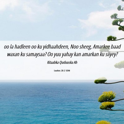 Picture 06 - Luukos 20:2 SOM - oo la hadleen oo ku yidhaahdeen, Noo sheeg, - Bible Verse Picture