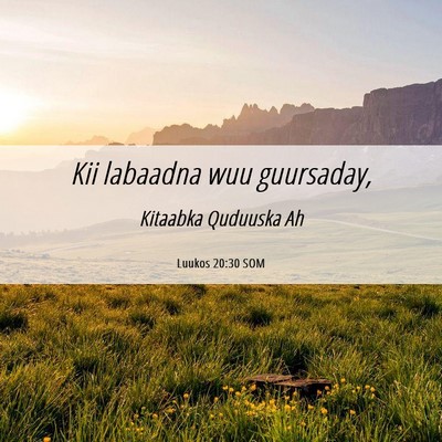 Picture 06 - Luukos 20:30 SOM - Kii labaadna wuu - Bible Verse Picture