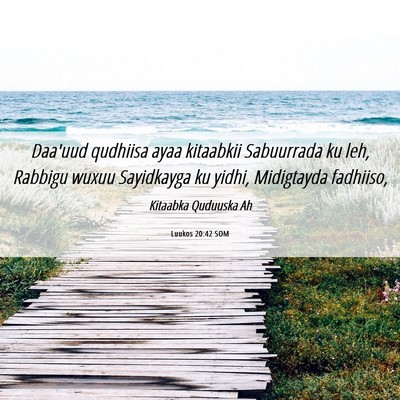 Picture 06 - Luukos 20:42 SOM - Daa'uud qudhiisa ayaa kitaabkii Sabuurrada ku - Bible Verse Picture