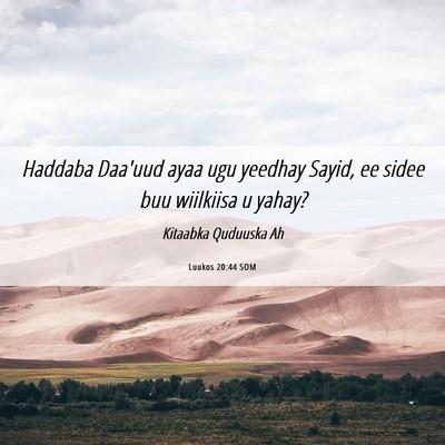 Picture 06 - Luukos 20:44 SOM - Haddaba Daa'uud ayaa ugu yeedhay Sayid, ee sidee - Bible Verse Picture