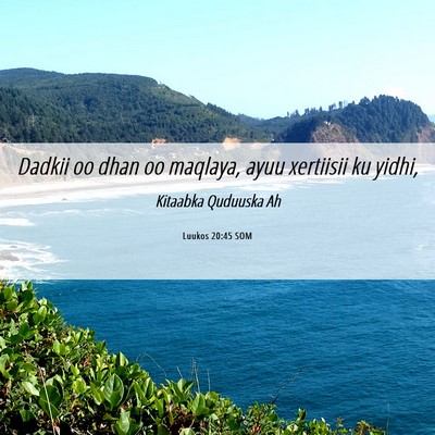 Picture 06 - Luukos 20:45 SOM - Dadkii oo dhan oo maqlaya, ayuu xertiisii ku - Bible Verse Picture