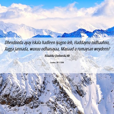 Picture 06 - Luukos 20:5 SOM - Dhexdooda ayay iskala hadleen iyagoo leh, - Bible Verse Picture