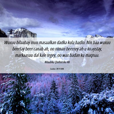 Picture 06 - Luukos 20:9 SOM - Wuxuu bilaabay inuu masaalkan dadka kula hadlo. - Bible Verse Picture