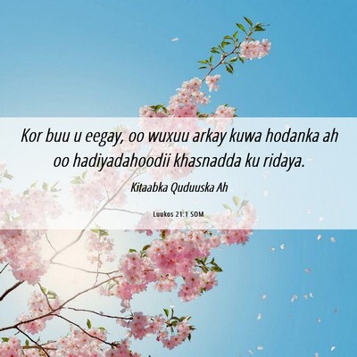 Picture 06 - Luukos 21:1 SOM - Kor buu u eegay, oo wuxuu arkay kuwa hodanka ah - Bible Verse Picture