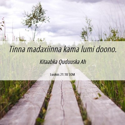 Picture 06 - Luukos 21:18 SOM - Tinna madaxiinna kama lumi - Bible Verse Picture