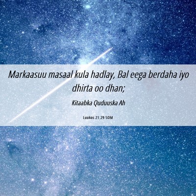 Picture 06 - Luukos 21:29 SOM - Markaasuu masaal kula hadlay, Bal eega berdaha - Bible Verse Picture