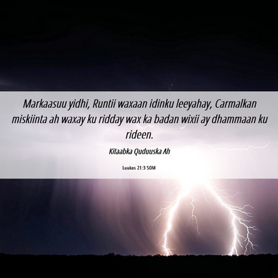 Picture 06 - Luukos 21:3 SOM - Markaasuu yidhi, Runtii waxaan idinku leeyahay, - Bible Verse Picture