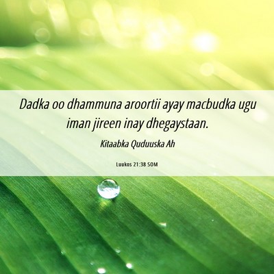 Picture 06 - Luukos 21:38 SOM - Dadka oo dhammuna aroortii ayay macbudka ugu iman - Bible Verse Picture