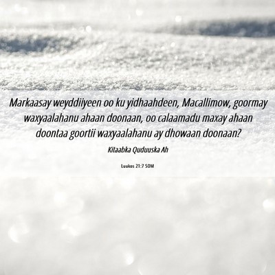 Picture 06 - Luukos 21:7 SOM - Markaasay weyddiiyeen oo ku yidhaahdeen, - Bible Verse Picture
