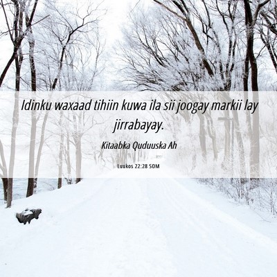 Picture 06 - Luukos 22:28 SOM - Idinku waxaad tihiin kuwa ila sii joogay markii - Bible Verse Picture