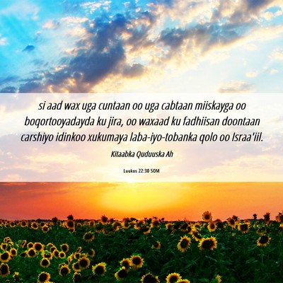 Picture 06 - Luukos 22:30 SOM - si aad wax uga cuntaan oo uga cabtaan miiskayga - Bible Verse Picture