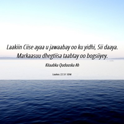 Picture 06 - Luukos 22:51 SOM - Laakiin Ciise ayaa u jawaabay oo ku yidhi, Sii - Bible Verse Picture