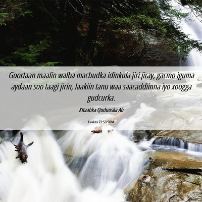 Picture 06 - Luukos 22:53 SOM - Goortaan maalin walba macbudka idinkula jiri - Bible Verse Picture