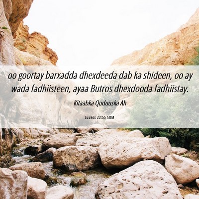 Picture 06 - Luukos 22:55 SOM - oo goortay barxadda dhexdeeda dab ka shideen, oo - Bible Verse Picture