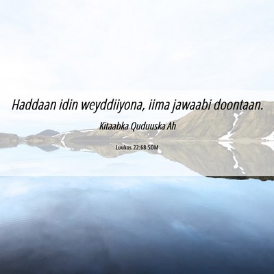 Picture 06 - Luukos 22:68 SOM - Haddaan idin weyddiiyona, iima jawaabi - Bible Verse Picture
