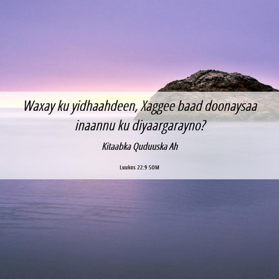 Picture 06 - Luukos 22:9 SOM - Waxay ku yidhaahdeen, Xaggee baad doonaysaa - Bible Verse Picture