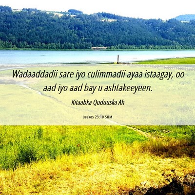 Picture 06 - Luukos 23:10 SOM - Wadaaddadii sare iyo culimmadii ayaa istaagay, oo - Bible Verse Picture
