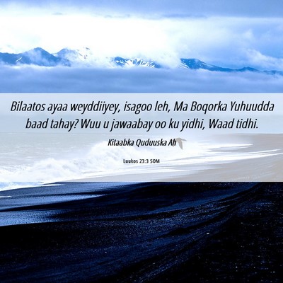 Picture 06 - Luukos 23:3 SOM - Bilaatos ayaa weyddiiyey, isagoo leh, Ma Boqorka - Bible Verse Picture