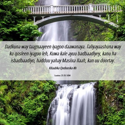 Picture 06 - Luukos 23:35 SOM - Dadkuna way taagnaayeen iyagoo daawanaya. - Bible Verse Picture