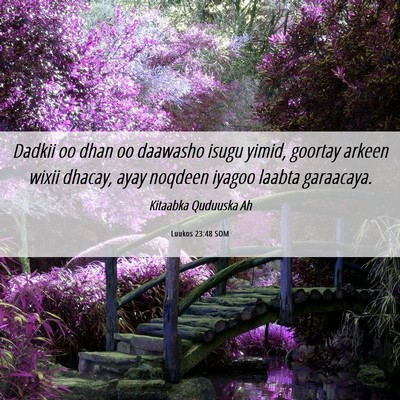 Picture 06 - Luukos 23:48 SOM - Dadkii oo dhan oo daawasho isugu yimid, goortay - Bible Verse Picture