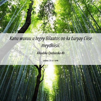Picture 06 - Luukos 23:52 SOM - Kanu wuxuu u tegey Bilaatos oo ka baryay Ciise - Bible Verse Picture