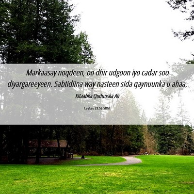Picture 06 - Luukos 23:56 SOM - Markaasay noqdeen, oo dhir udgoon iyo cadar soo - Bible Verse Picture