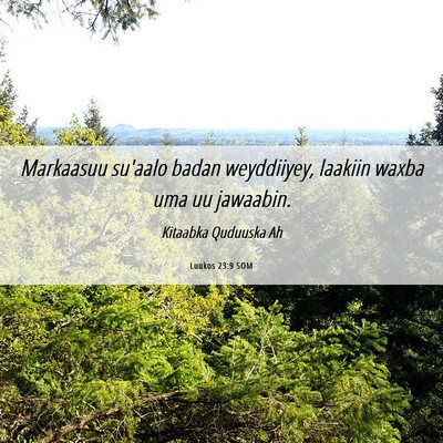 Picture 06 - Luukos 23:9 SOM - Markaasuu su'aalo badan weyddiiyey, laakiin waxba - Bible Verse Picture