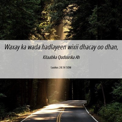 Picture 06 - Luukos 24:14 SOM - Waxay ka wada hadlayeen wixii dhacay oo - Bible Verse Picture