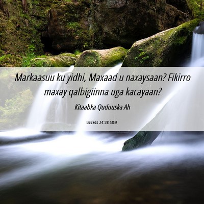 Picture 06 - Luukos 24:38 SOM - Markaasuu ku yidhi, Maxaad u naxaysaan? Fikirro - Bible Verse Picture