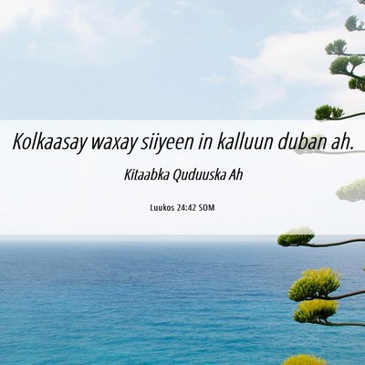 Picture 06 - Luukos 24:42 SOM - Kolkaasay waxay siiyeen in kalluun duban - Bible Verse Picture