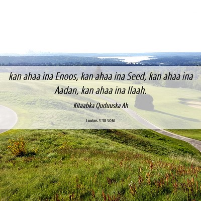 Picture 06 - Luukos 3:38 SOM - kan ahaa ina Enoos, kan ahaa ina Seed, kan ahaa - Bible Verse Picture
