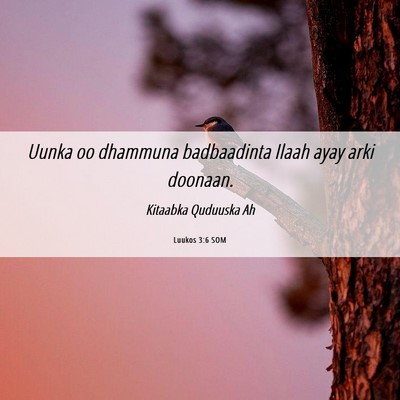Picture 06 - Luukos 3:6 SOM - Uunka oo dhammuna badbaadinta Ilaah ayay arki - Bible Verse Picture