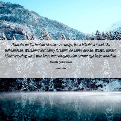 Picture 06 - Luukos 3:8 SOM - Haddaba midho toobad istaahila soo bixiya, hana - Bible Verse Picture
