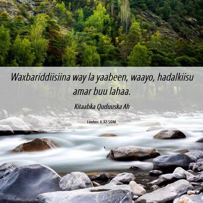 Picture 06 - Luukos 4:32 SOM - Waxbariddiisiina way la yaabeen, waayo, - Bible Verse Picture
