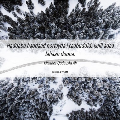 Picture 06 - Luukos 4:7 SOM - Haddaba haddaad hortayda i caabuddid, kulli adaa - Bible Verse Picture