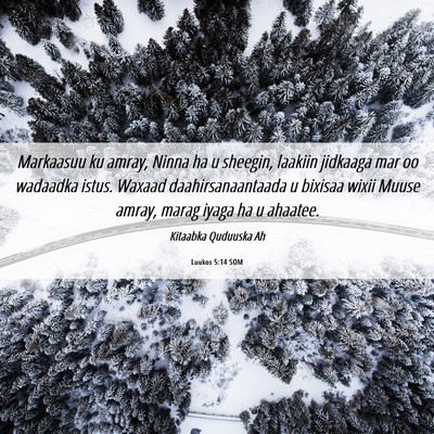 Picture 06 - Luukos 5:14 SOM - Markaasuu ku amray, Ninna ha u sheegin, laakiin - Bible Verse Picture
