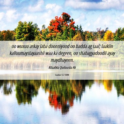 Picture 06 - Luukos 5:2 SOM - oo wuxuu arkay laba doonniyood oo badda ag taal; - Bible Verse Picture