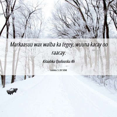 Picture 06 - Luukos 5:28 SOM - Markaasuu wax walba ka tegey, wuuna kacay oo - Bible Verse Picture
