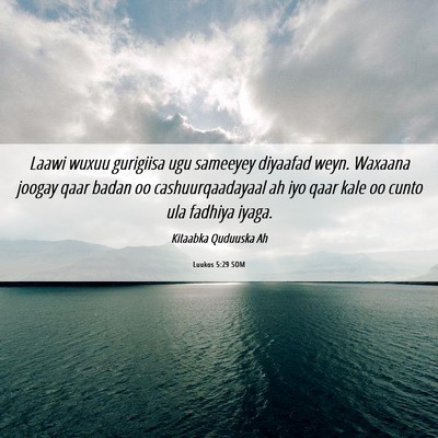 Picture 06 - Luukos 5:29 SOM - Laawi wuxuu gurigiisa ugu sameeyey diyaafad weyn. - Bible Verse Picture