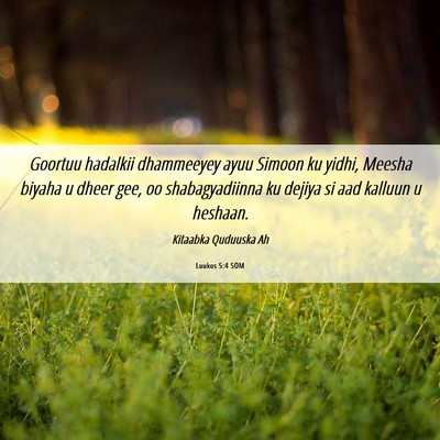Picture 06 - Luukos 5:4 SOM - Goortuu hadalkii dhammeeyey ayuu Simoon ku yidhi, - Bible Verse Picture