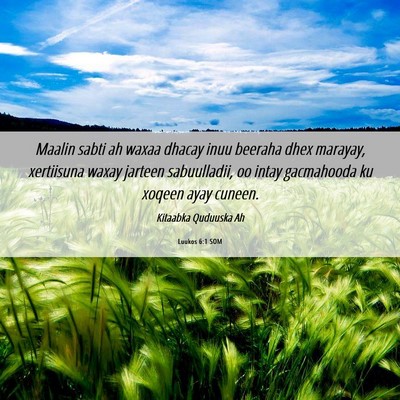 Picture 06 - Luukos 6:1 SOM - Maalin sabti ah waxaa dhacay inuu beeraha dhex - Bible Verse Picture