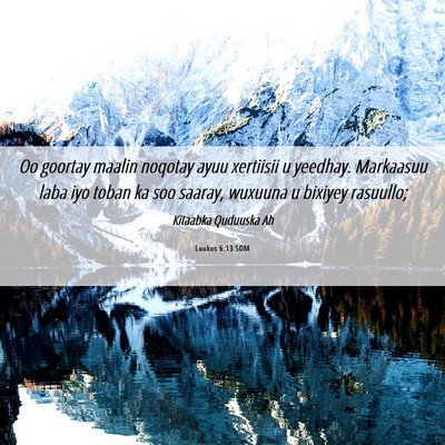 Picture 06 - Luukos 6:13 SOM - Oo goortay maalin noqotay ayuu xertiisii u - Bible Verse Picture