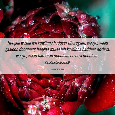 Picture 06 - Luukos 6:25 SOM - Hoogna waxaa leh kuwiinna haddeer dheregsan, - Bible Verse Picture