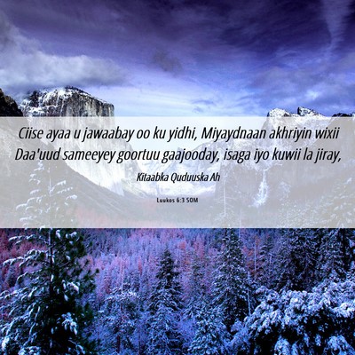 Picture 06 - Luukos 6:3 SOM - Ciise ayaa u jawaabay oo ku yidhi, Miyaydnaan - Bible Verse Picture