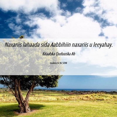 Picture 06 - Luukos 6:36 SOM - Naxariis lahaada sida Aabbihiin naxariis u - Bible Verse Picture